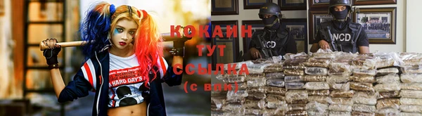 стаф Алзамай