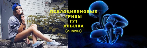 прущие грибы Алексин