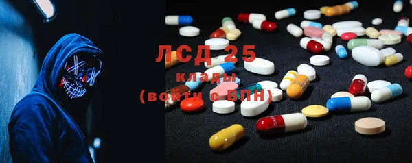 стаф Алзамай