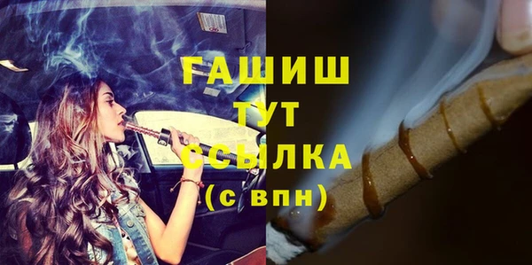 стаф Алзамай