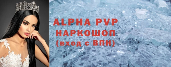 стаф Алзамай
