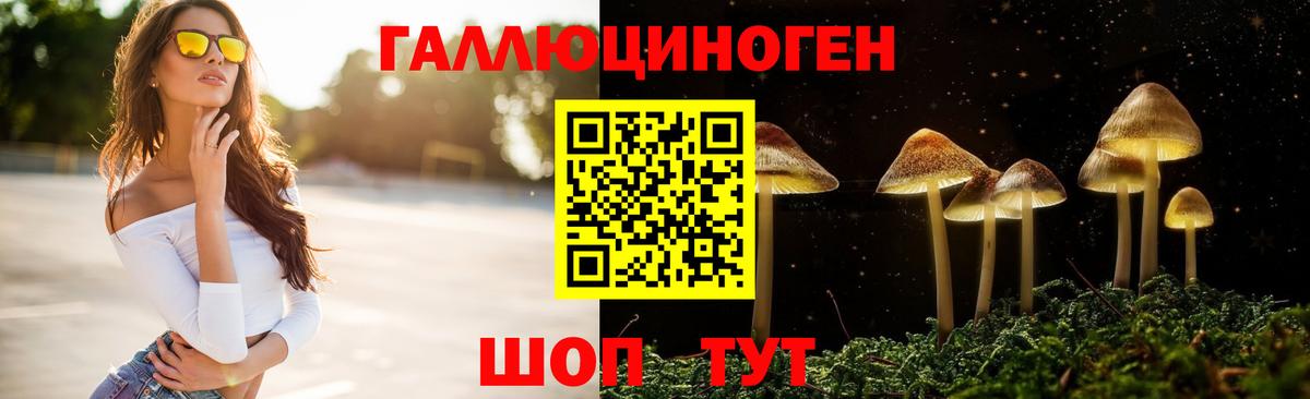Павловский Посад  Галлюциногенные грибы прущие грибы  Вход с VPN 